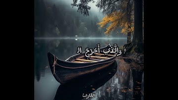 سبح اسم ربك الأعلى / سورة الأعلى surat_alaala /عبدالرحمن مسعد الراحة النفسية