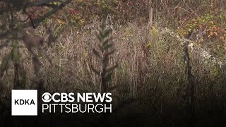 Homicide charges filed after man found dead on Westmoreland Co. game lands