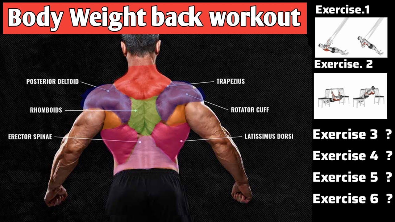 Massive Back Workout At Home Without Equipment. - YouTube