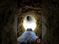 You enter a prairie dog🐕city underground 😳 #wildlife #shorts #prairiedog