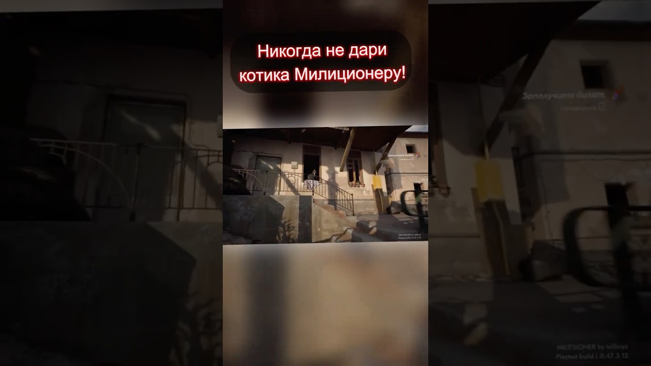 Никогда не дари котика Милиционеру! | MILITSIONER 