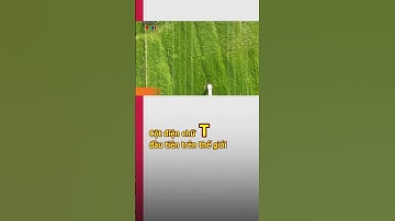 Thiết kế cột điện mới tại Anh | VTV24 #shorts