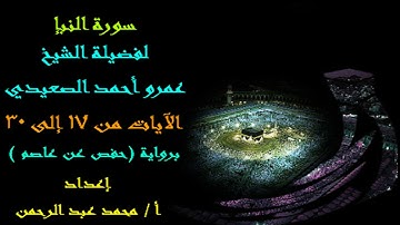 سورة النبإ لفضيلة الشيخ عمرو أحمد الصعيدي
