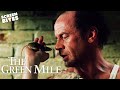 The Mouse On The Mile | The Green Mile | SceneScreen
