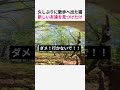 散歩に出た猫 新しい友達を見つけたけど…