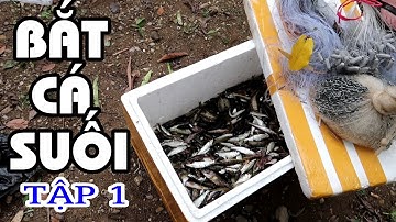 Hành trình khám phá suối nậm ét và bắt cá suối tập 1