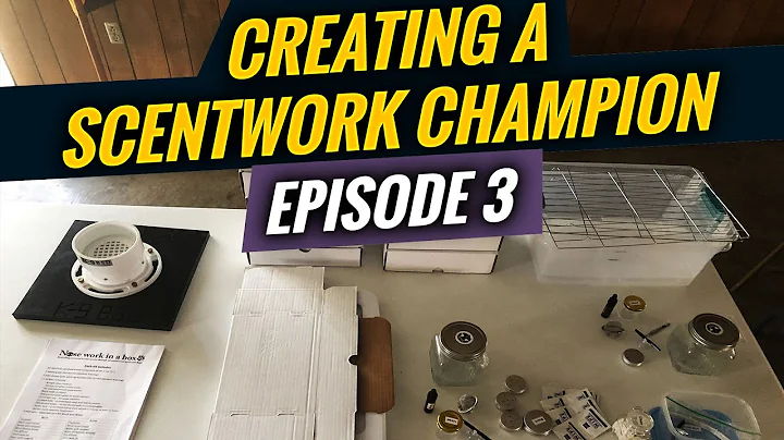 Getting Started in Scentwork | Creating a Scentwork Champion Episode 3