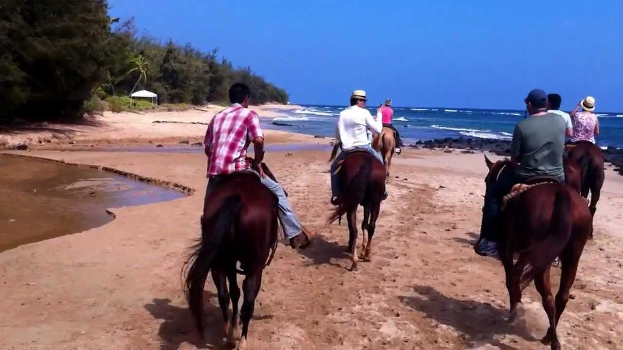 Horseback Tour In Kauai Hawaii On A Beach You Kauai Hawaii On A Beach