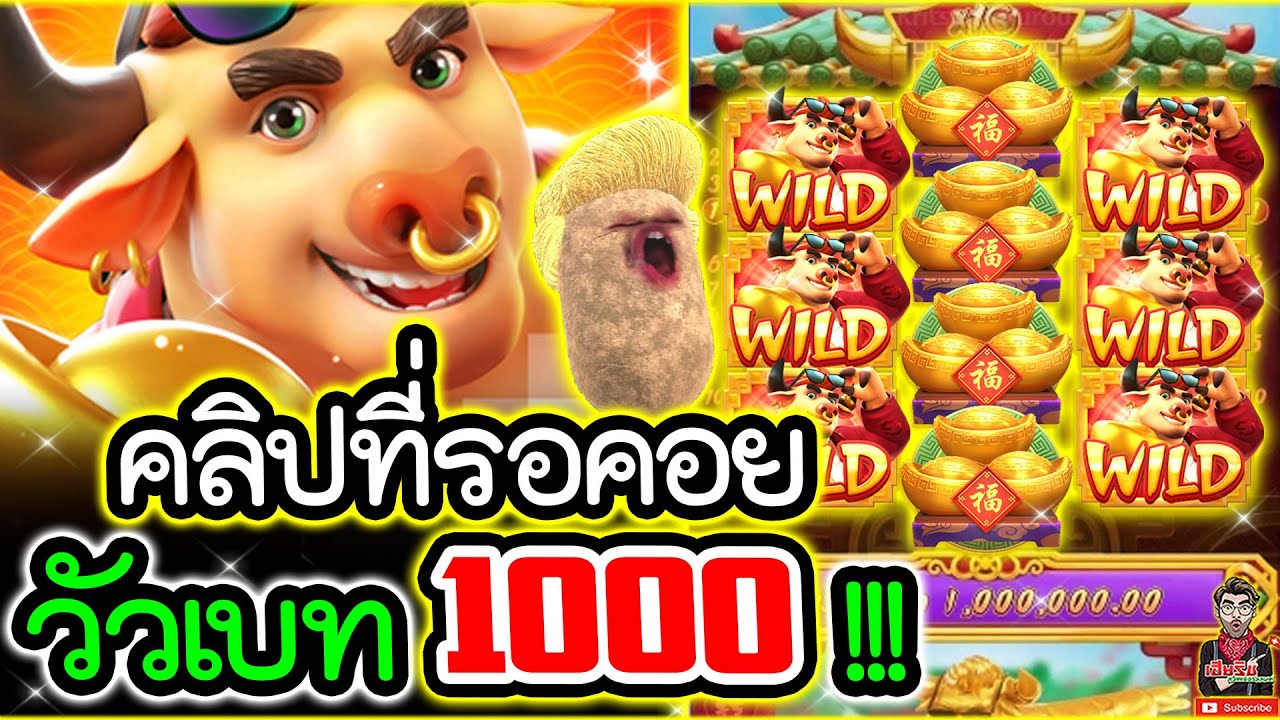 Download เกมวัวทอง Fortune Ox│ค่ายPG ➤ ตามคำขอ พี่วัวเบท 1000 !!!!