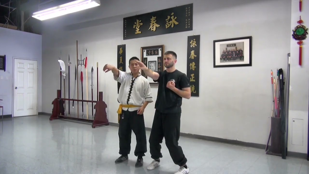 Sil Lim Tao - HoKamming Wing Chun - Part 1