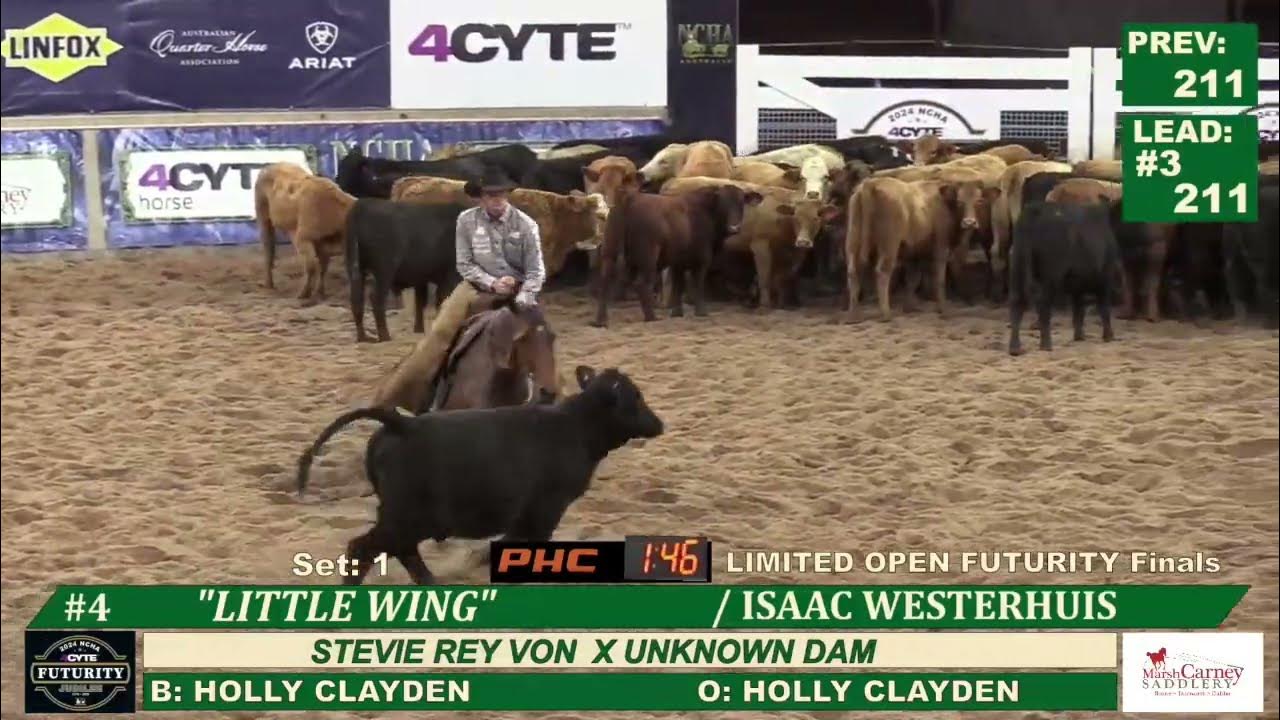 Isaac Westerhuis Little Wing Limited Open Champion NCHA AU Futurity
