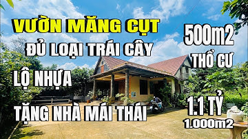 Anh Toàn nợ ngân hàng,  bán gấp vườn măng cụt, tại châu đức, vũng tàu