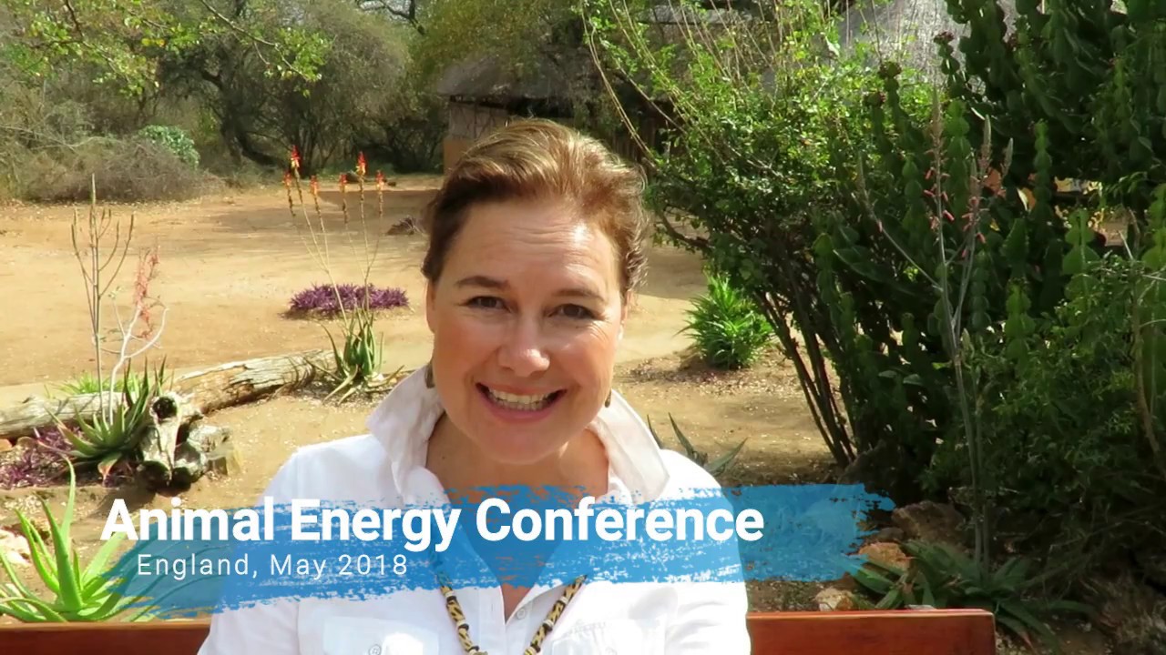 Animal Energy Conference 2018