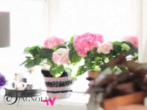 Video: Blomster Og Planter I Soveværelset (47 Fotos): Hvilke Blomster Og Planter Er Gunstige For Soveværelset