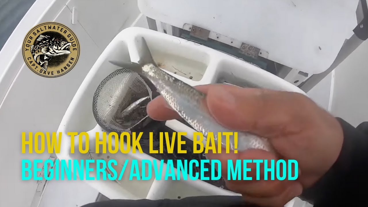 How To Hook LIVE Bait (Fishing Beginner/Advanced Method) 