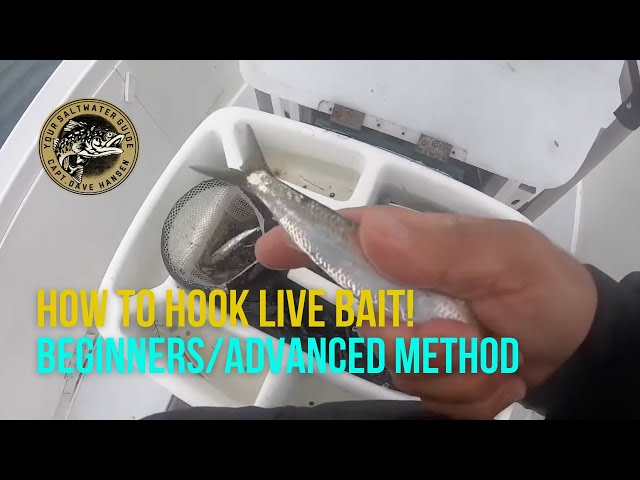 How To Hook LIVE Bait (Fishing Beginner/Advanced Method