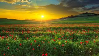 Download Lagu Hawaen Geet Gaaye MP3 Download Lagu Hawaen Geet Gaaye MP3