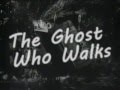 The Ghost Who Walks by Karen Elson music video