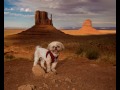 Monument Valley Plotograph