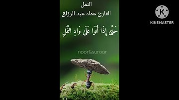النمل/ القارئ عماد عبد الرزاق