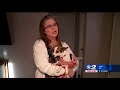 Hearts for Paws - Pay it Forward | Mountain America Credit Union