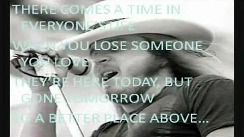 Jimmie Van Zant - Ronnie's Song
