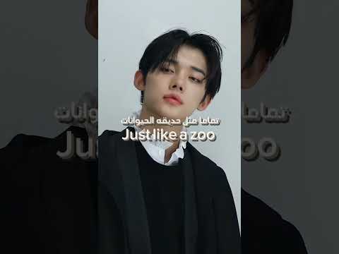 فيديو عشان ما اسحب مو فكرتي بس غيرت فيها شوي لفيووو كيم سيا   هيونجون هون