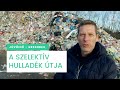 A szelektív hulladék útja - Jövő idő | Greendex