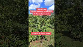 Income-Generating Farm for Sale Near Pretoria East 💰 3 Homes on One Property! #realestate #property