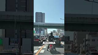 Почему японцы ездят медленно и не нервничают? 🤔🚗🇯🇵 #япония #automobile #japan #авто