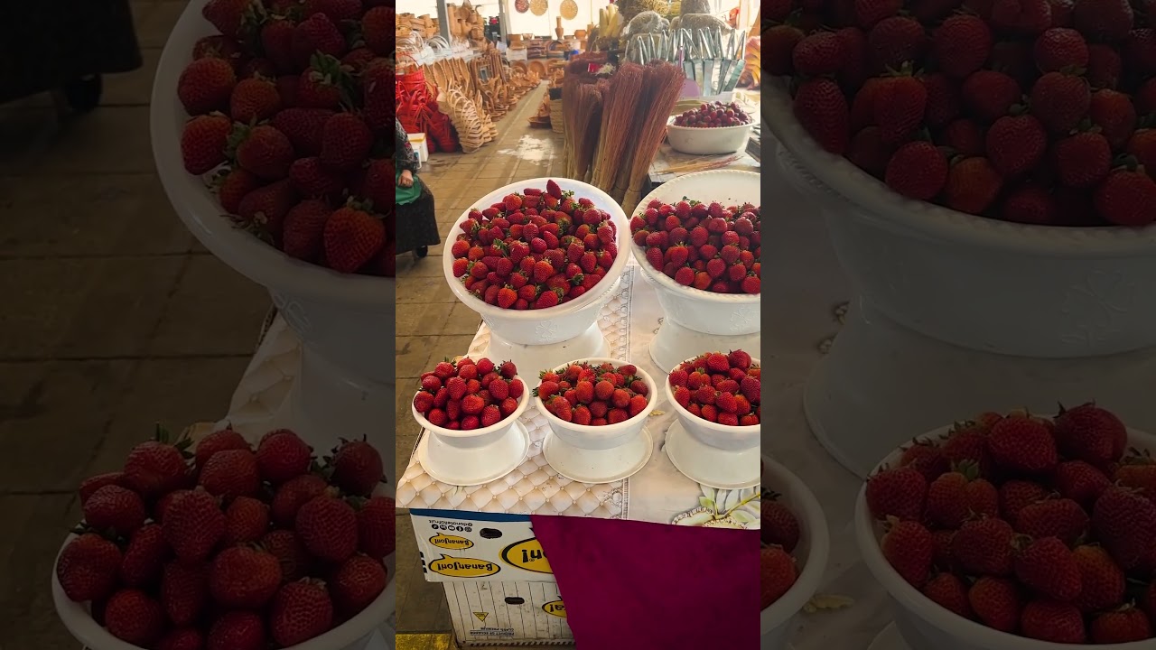 Chorsu Bazaar – The Heart of Tashkent’s Market Culture