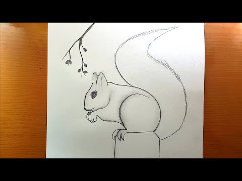 Vídeo: Como é Fácil Desenhar Um Esquilo Com Uma Noz Em Etapas