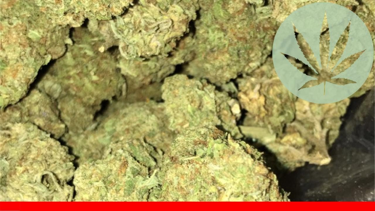 Og Trainwreck - All About This Strain