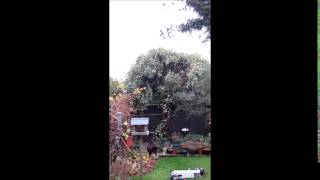 Compressed Air Rocket Launch - first test