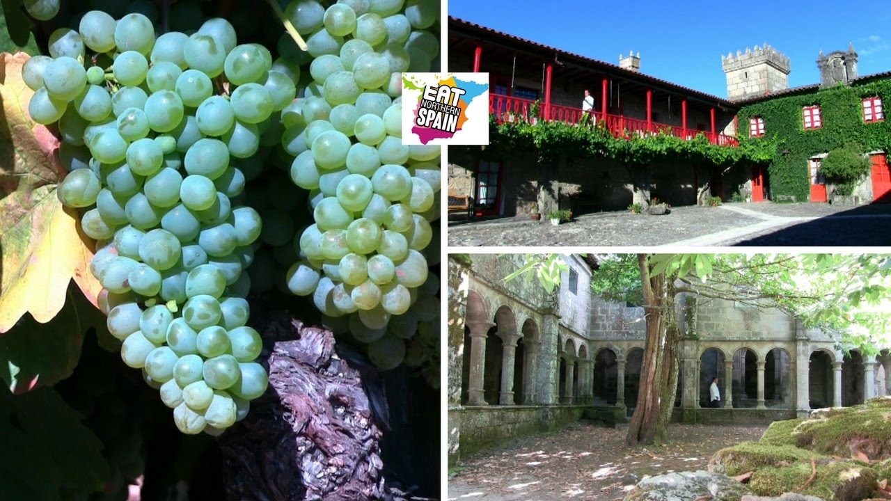Grape Harvest Experience in Galicia, Northern Spain YouTube