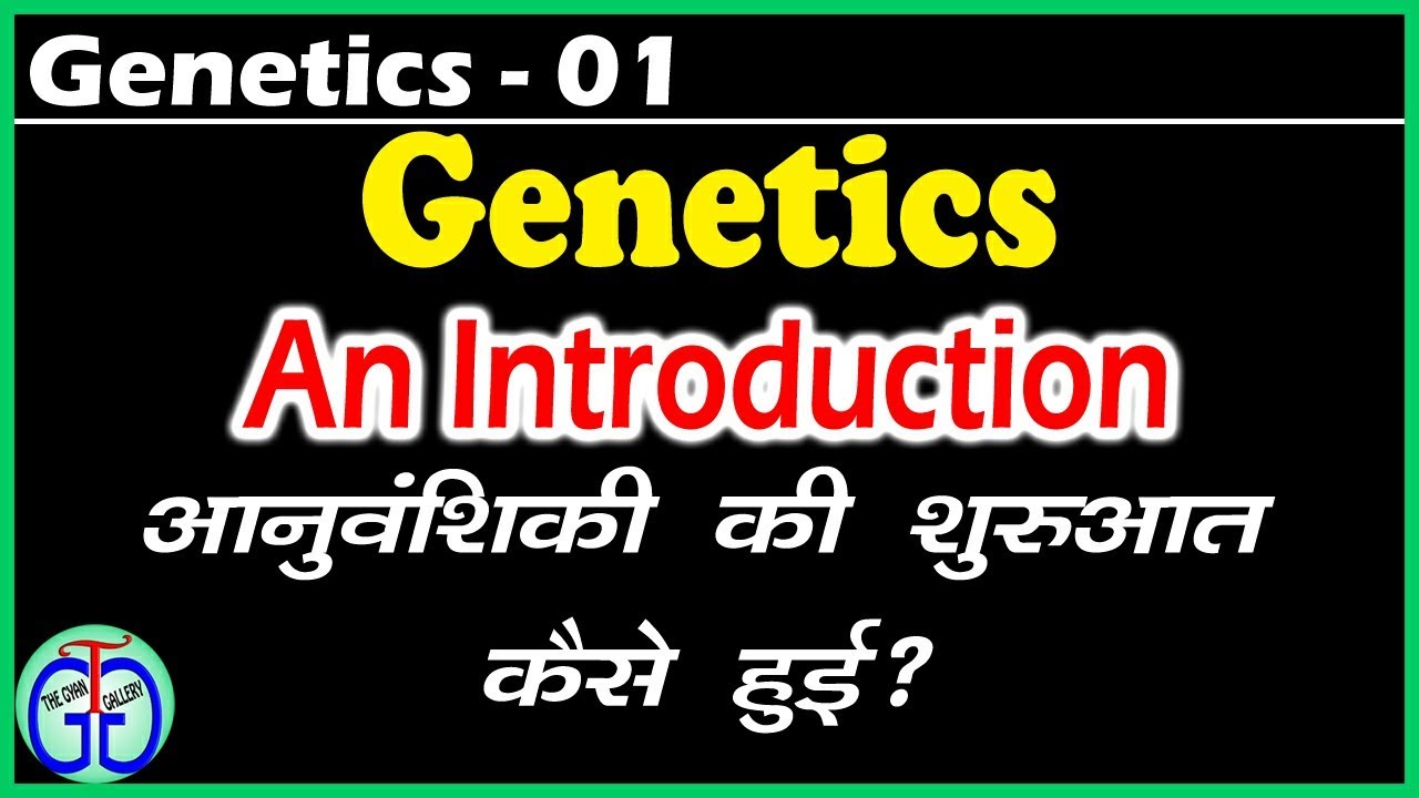 01 Introduction in Hindi YouTube