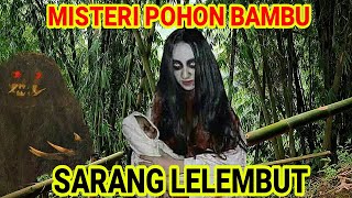 Misteri Pohon Bambu Menjadi Sarang Hantu