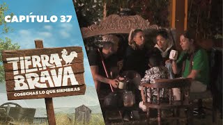 Tierra Brava | Capítulo 37 | Canal 13