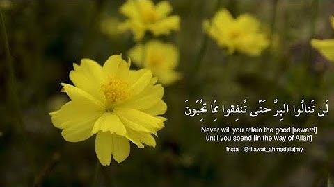 ارح سمعك .. تلاوة هادئة تريح القلب والعقل 💙🎧 | القارئ أحمد عبد الله القليب حفظه الله 🤲