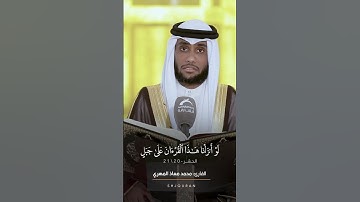 القارئ: محمد معاذ المهري  - سورة الحشر |  قراء الامارات