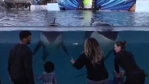 Russell Wilson & Baby Future Making Music & Dancing😜