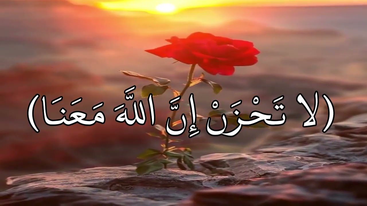 ساعة كاملة🕛🎧 | تلاوة تقشعر لها الأبدان بصوت  اسلام صبحى |❤️🎧 islam sobhi