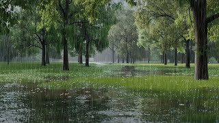 Rainy Day in the Park: Embrace the Tranquility of Nature's Downpour