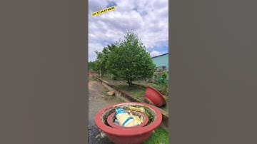 03 - 2000m2 đất - có 1000m2 thổ cư | 2 mặt tiền siêu chất