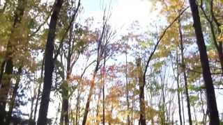 The Binghamton Bro Code Final Episode