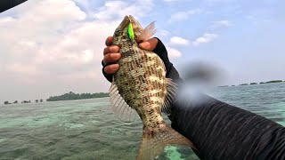 Ikan Paling Enak Untuk Di Bakar || Mancing Pulau Papatheo || Transit Pulau Harapan Pulau Seribu