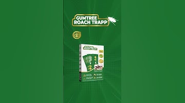 Gumtree Roach Trapp || Easy and Healthy Way to Control Cockroaches || #diycockroachcontrol