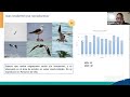 Pantanos de Villa: estacionalidad de la aves y la relación con el regimen hidrico  #ornitologia