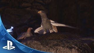 Wander -- Story Trailer Ps4