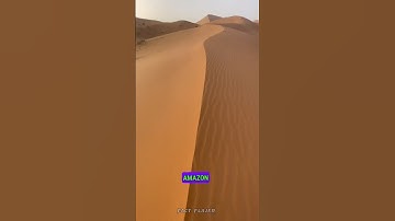 Amazon Rainforest and Sahara Desert: A Surprising Connection!🤔#science #facts #sciencefacts